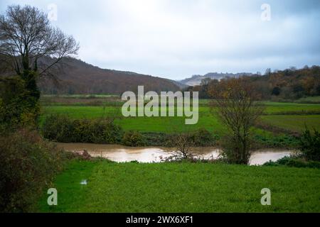 Rainy Serenity: Ein sanfter Bach fließt durch nasses Gras und schafft eine beruhigende und natürliche Szene inmitten des Regens. Stockfoto