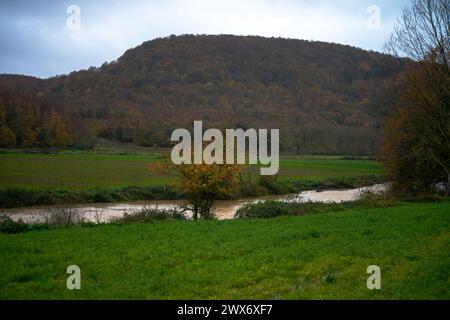 Rainy Serenity: Ein sanfter Bach fließt durch nasses Gras und schafft eine beruhigende und natürliche Szene inmitten des Regens. Stockfoto