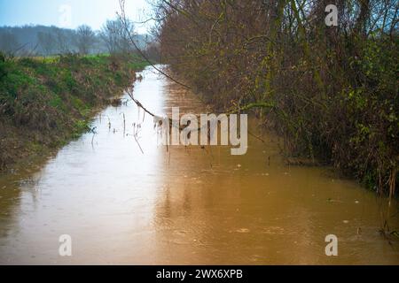 Tauchen Sie ein in die ruhige Schönheit eines Flusses, der sich durch regengeküsste Büsche schlängelt. Regentropfen tanzen auf dem Laub und schaffen ein ruhiges und erfrischendes Ambiente Stockfoto