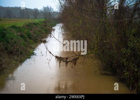 Tauchen Sie ein in die ruhige Schönheit eines Flusses, der sich durch regengeküsste Büsche schlängelt. Regentropfen tanzen auf dem Laub und schaffen ein ruhiges und erfrischendes Ambiente Stockfoto