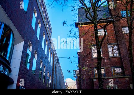 Amsterdams Gebäude und Straßen verbinden malerische Kanäle, historische Architektur und pulsierendes urbanes Leben und schaffen so ein bezauberndes und ikonisches Stadtbild. Stockfoto