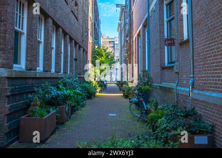 Amsterdams Gebäude und Straßen verbinden malerische Kanäle, historische Architektur und pulsierendes urbanes Leben und schaffen so ein bezauberndes und ikonisches Stadtbild. Stockfoto