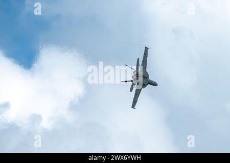 Das US Navy F/A-18F Super Hornet Rhino Demonstration Team tritt auf der Orlando Air and Space Show am Orlando Sanford International Airport auf Stockfoto