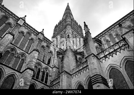 Schwarz-weiße Kathedrale von Salisbury, mittelalterliche gotische Architektur, West Door & Großbritanniens höchster Turm, Wiltshire, Großbritannien Stockfoto