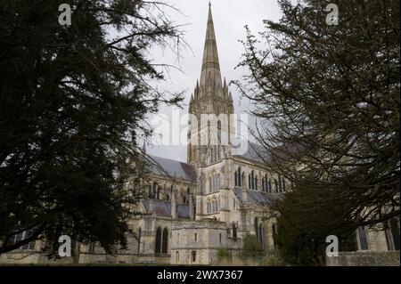 Colour Salisbury Cathedral, mittelalterliche gotische Architektur, West Door & Großbritanniens höchster Turm, Wiltshire, Großbritannien Stockfoto