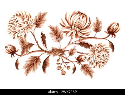 Chrysanthemenblüten mit Knospen und Blättern in Aquarellfarbe. Vintage monochrome Komposition, isoliert auf weißem Hintergrund. Handgezeichnete Illustration braun Stockfoto