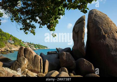 Große Felsformationen auf der tropischen Insel Koh Tao in Thailand, berühmtes Reiseziel Stockfoto