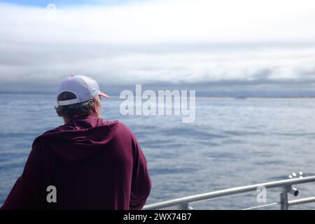 Eine Bootsfahrt in der Nähe von Monterey CA - Wal- und Delfinbeobachtung Stockfoto