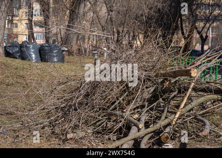 Ein Haufen geschnittener Äste, schwarze Plastiktüten, Baumpflege. Baumpflege im Park, auf der Straße. Frühjahrsputz. Stockfoto