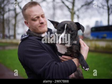 Staffie überquert Stella mit einem ihrer neuen Besitzer, dem Polizisten der Metropolitan Police Joe Allen, im New Scotland Yard im Zentrum von London. PC Allen und sein Partner, Detective Constable (DC) Jade Peirce adoptierten Stella, nachdem sie im Dezember verlassen, extrem unterernährt und medizinisch versorgt worden war. Bilddatum: Donnerstag, 28. März 2024. Stockfoto