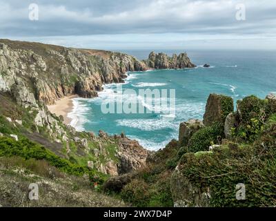 Pedn Vounder Beach und Logan Rock Landzunge vom South Cornwall Coastal Path in der Nähe von Porthcurno in Spring, Cornwall, England, Großbritannien Stockfoto