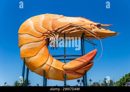 Große Garnelenskulptur und Touristenattraktion von Ballina, New South Wales, Australien. Stockfoto