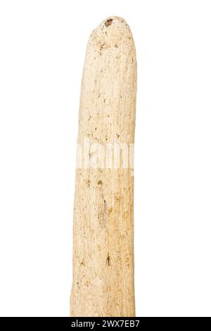 Teil aus Treibholz isoliert auf weißem Hintergrund. Stockfoto