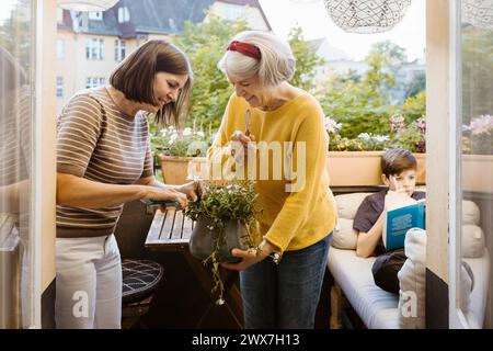 Frau und Schwiegermutter kümmern sich um Pflanzen, während sie auf dem Balkon stehen Stockfoto