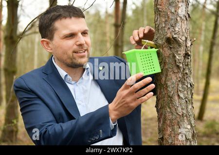 Pilsen, Tschechische Republik. März 2024. Der tschechische Umweltminister Petr Hladik (KDU-CSL) und Vertreter des Naturschutzamtes stellen am 28. März 2024 in Pilsen, Tschechische Republik, die Einrichtung und Installation von Fallen für die Überwachung asiatischer Hornissen vor. Quelle: Miroslav Chaloupka/CTK Photo/Alamy Live News Stockfoto
