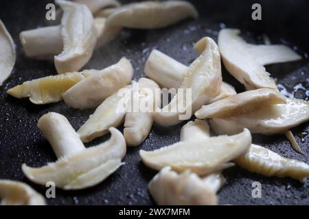 Calocybe gambosa erscheint von April bis Juni und trägt den gebräuchlichen Namen St George’s Mushroom. Es ist eine gute essbare Spezies. Stockfoto