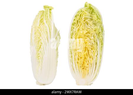Querschnitt und ganzer Napa-Kohl. Sie befindet sich auf einer weißen Oberfläche. Nahaufnahme. Stockfoto