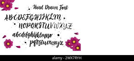 Vektor-handgezeichnetes Alphabet isoliert auf weißem Hintergrund. Pinsel gemalte Buchstaben. Dekorative künstlerische Schriftart. Stock Vektor