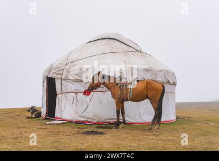 Traditionelle weiße Jurte mit Pferd und Hund in der Nähe an einem bewölkten regnerischen Tag. Stockfoto