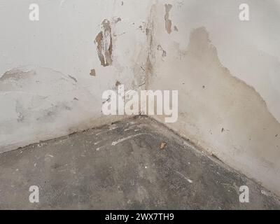 Wasserschaden an der Wand im Raum Stockfoto