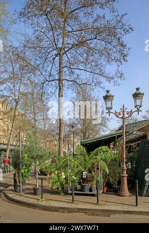 Frankreich, Region Ile-de-France, Paris Île de la Cité, 4. Arrondissement, Île de la Cité, Marché aux Fleurs reine-Elizabeth-II, Place Louis Lépine, 21. März 2024 Stockfoto