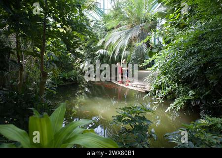 Paris, Rand des Bois de Boulogne, 16. Arrondissement, Gärten des Jardin des Serres d'Auteuil, Glasdächer Stockfoto