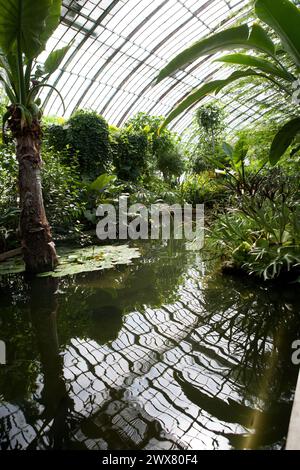 Paris, Rand des Bois de Boulogne, 16. Arrondissement, Gärten des Jardin des Serres d'Auteuil, Glasdächer Stockfoto