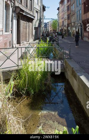 Frankreich, Rouen, Rue Eau-de-Robec, Bach in der Stadt, ehemalige Straße des Drapers und Färber, Stockfoto