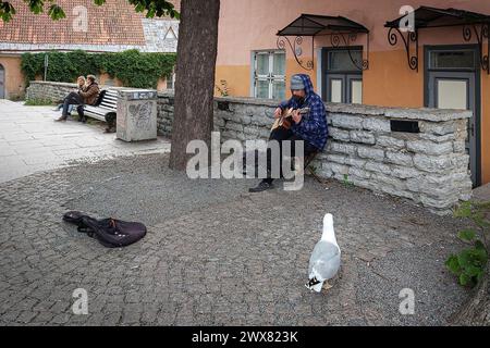 Tallinn, Estland, 17. Juli 2022: Straßenmusiker, Gitarrist spielt seine Lieder im Innenhof des Alten Tallinns, 17. Juli 2017. Stockfoto