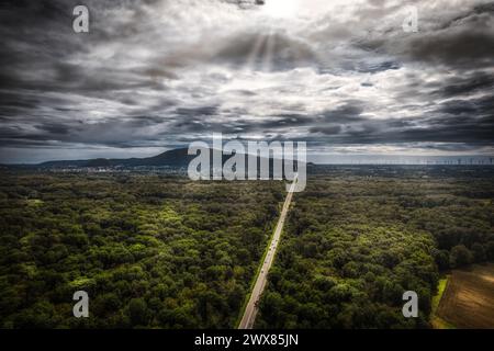 Stophenreuther Au Donau Hainburg Nationalpark Donau-Auen Stockfoto