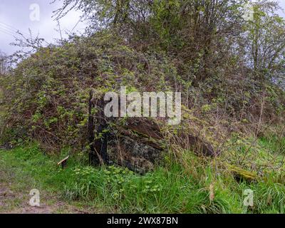 März 2024: Überreste des Bogens des Schiffsgesandten in Purton Hulks, Schiffsfriedhof in Gloucestershire, England. Stockfoto