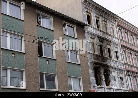 Trauerkundgebung in Solingen für die vier Verstorbenen im Haus Grünewalder Straße 69. 28.03.2024, EU, DEU, Deutschland, Nordrhein-Westfalen, Solingen: Trauerkundgebung im Stadtteil Höhscheid. In der Nacht zum 25. März brach im Treppenhaus des Mehrfamilienhauses Grünewalder Straße 69 ein Feuer aus. Der Feuerwehr gelang es, 9 Personen lebend aus dem brennenden Haus zu retten. Eine vierköpfige bulgarische Familie im Alter von 28 und 29 Jahren sowie ein knapp dreijähriges Kind und ein fünf Monate Alter Säugling kamen bei dem Brand am Montagmorgen ums Leben. Die bulgarische Familie wohnte im Oberge Stockfoto