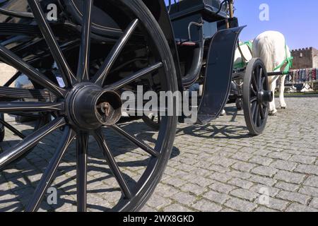 Ausflugswagen mit weißen Pferden in der kopfsteingepflasterten Burgstadt. Stockfoto