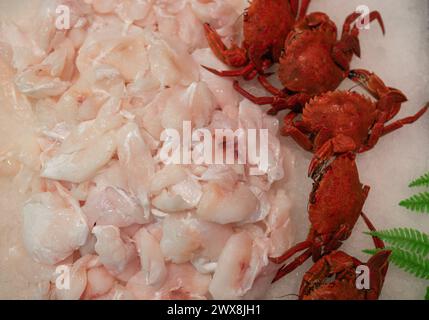 Seehecht- und Krabbenschalen sind ausgestellt Stockfoto
