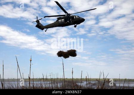 New Orleans, USA. März 2024. Ein Hubschrauber der Louisiana Army National Guard UH-60 Black Hawk senkt während des jährlichen Christmas Tree Drop in New Orleans am 20. März 2024 ein Bündel recycelter Weihnachtsbäume in das Bayou Sauvage Urban National Wildlife Refuge. Die Bäume werden im Rahmen eines US Fish and Wildlife Service-Programms einen Wellenbruch erzeugen, um Sedimente einzufangen und Marchshland wiederherzustellen. (Kreditbild: © U.S. Army/ZUMA Press Wire) NUR REDAKTIONELLE VERWENDUNG! Nicht für kommerzielle ZWECKE! Stockfoto