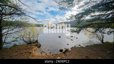 Loch an Eilein Castle, fotografiert vom Ufer durch die Baumgrenze. Stockfoto