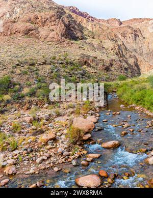 Bright Angel Creek neben dem North Kaibab Trail mit The Box in der Ferne, Grand Canyon National Park, Arizona, USA Stockfoto