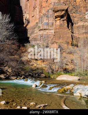 Kaskaden und Herbstfarben in den Virgin River Narrows, Zion National Park, Utah, USA Stockfoto