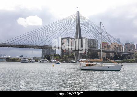 Anzac Bridge in Sydney mit Blick auf die Segelyacht und das Stadtzentrum von Sydney, aufgenommen vom Blackwattle Bay Park, Sydney, Australien Stockfoto