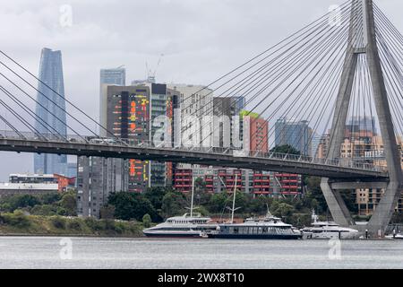 Anzac Bridge in Sydney mit Blick auf das Crown Casino Gebäude und das Stadtzentrum von Sydney, aufgenommen vom Blackwattle Bay Park, Sydney, Australien Stockfoto