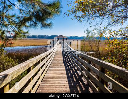 Aussichtsplattform mit Blick auf Lake Ligget, Mitchelville Freedom Park, Hilton Head, South Carolina, USA Stockfoto