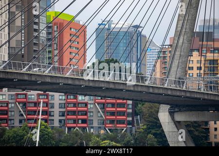 Anzac Bridge in Sydney, Nahaufnahme des Pyrmont-Endes der Brücke mit farbenfrohen Hochhäusern und Blick auf Pylonstahlseile, Australien, 2024 Stockfoto