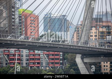 Anzac Bridge in Sydney, Nahaufnahme des Pyrmont-Endes der Brücke mit farbenfrohen Hochhäusern und Blick auf Pylonstahlseile, Australien, 2024 Stockfoto