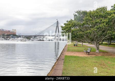 Glebe Uferpromenade Spaziergang durch den Bicentennial Park, Blick auf Anzac Bridge, Rozelle Bay und Glebe Silo Gebäude, Sydney Inner West, NSW, Australien Stockfoto