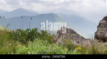 Dieses Bild zeigt eine detaillierte Nahaufnahme lebendiger grüner Pflanzen und zerklüfteter Felsen vor der Pracht einer fernen Bergkette, die an einen SENSE erinnert Stockfoto