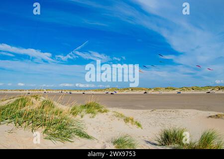 Insel Rømø an der dänischen Nordseeküste Stockfoto