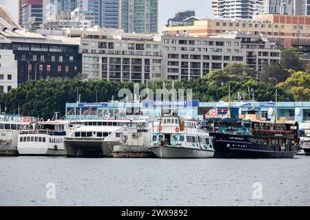 Sydney Fish Market in Pyrmont mit der Fähre Wirawi Lady Northcott in Blackwattle Bay, Sydney, NSW, Australien Stockfoto