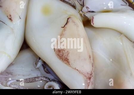 Tintenfisch in der Schüssel zum Grillen bereit, Nahaufnahme Stockfoto