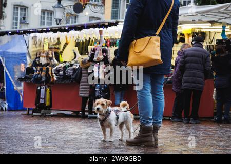 Straßenfoto eines weihnachtsmarktes in Solothurn Schweiz bei einem Spaziergang mit unserem Jack russel Terrier Arusha Stockfoto