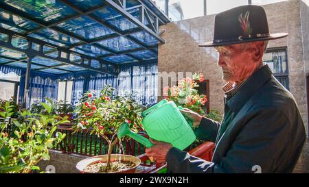 Lhasa, Chinas autonome Region Xizang. März 2024. Sonam Dondrup bewässert Blumen in seinem Haus in Khesum, der Autonomen Region Xizang im Südwesten Chinas, am 1. März 2024. Quelle: Purbu Tsering/Xinhua/Alamy Live News Stockfoto